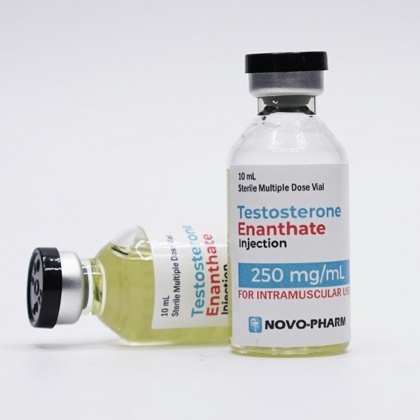 Testosterone Enanthate 250mg/ml - NovoPharm 2 Testosterone Enanthate 250mg/ml - NovoPharm